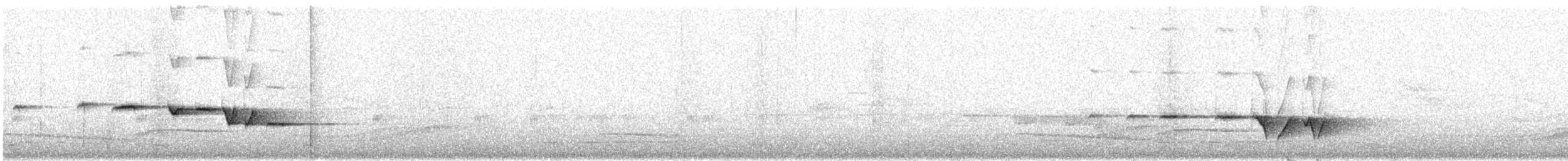 Gray-bellied Tesia - ML173312471