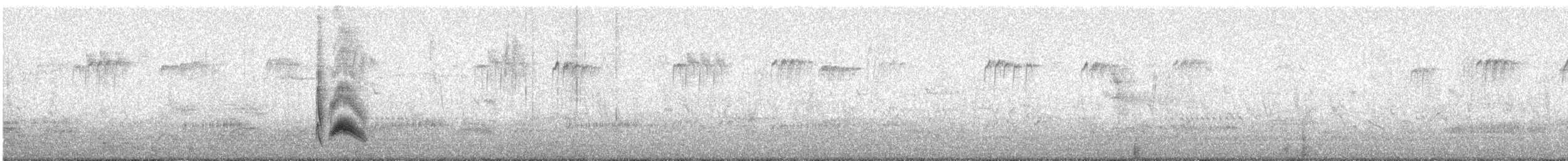 Cassin's Kingbird - ML173314201