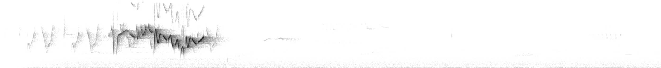 Microure à ventre blanc (albiventer/pallidior) - ML173357681