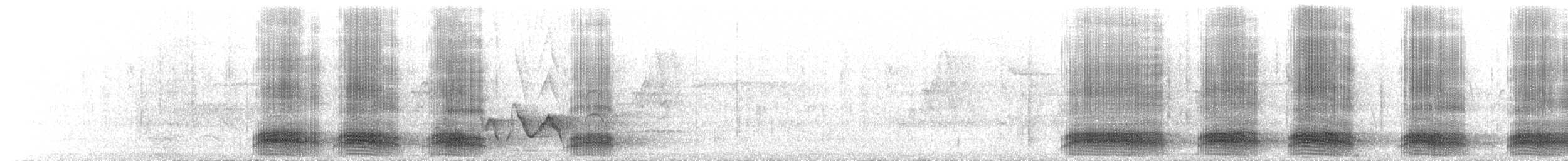 Corbeau à gros bec (groupe macrorhynchos) - ML173358061