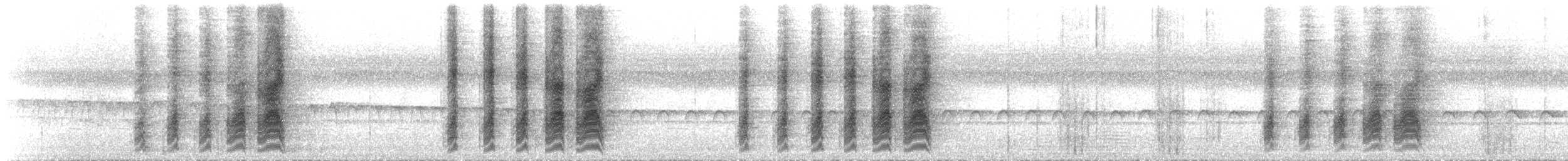 Southern Shrikebill - ML173401601