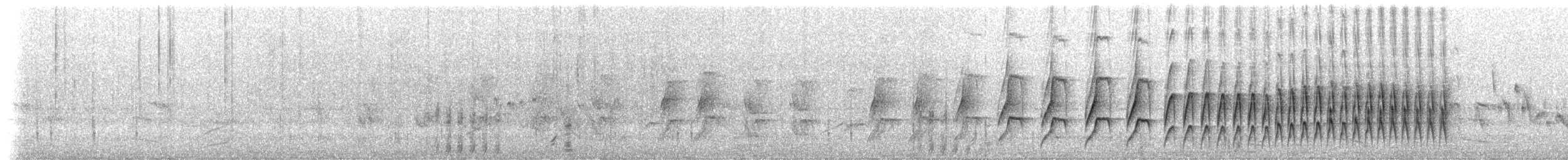 Sooty-fronted Spinetail - ML173493031