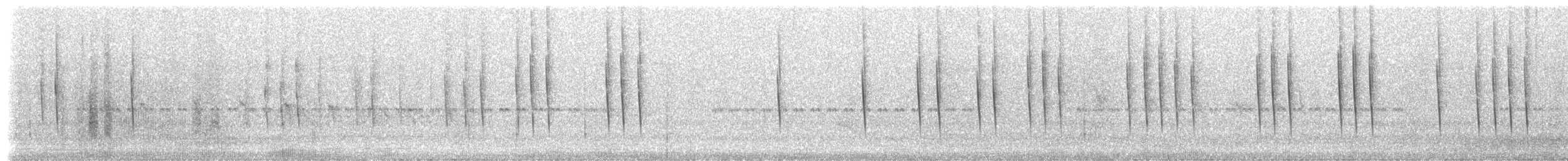 Slender-tailed Woodstar - ML173493161