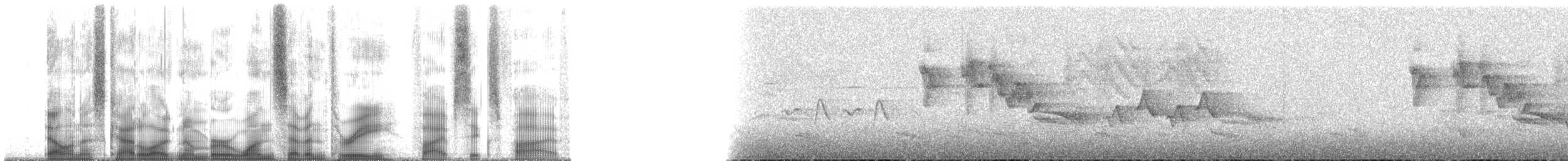 Brown Parrotbill - ML173565