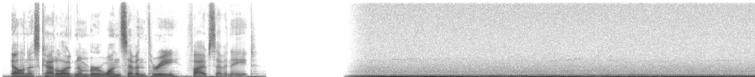 Barred Owl - ML173578