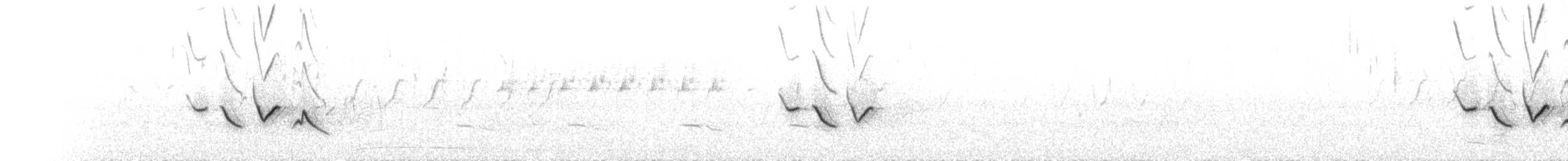 Улаавар бужмар - ML173593641