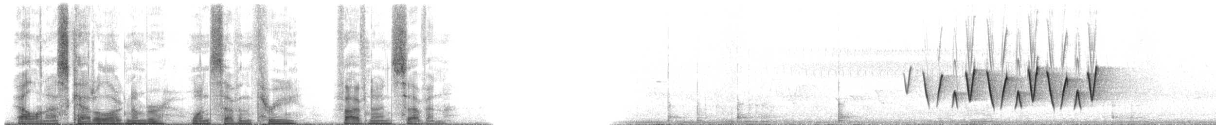 Очковая хвойница - ML173597