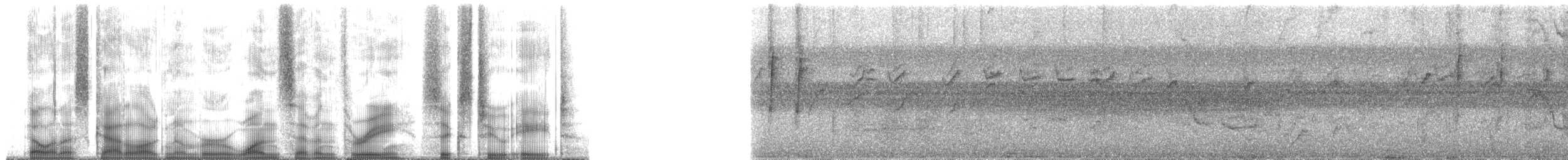 Atherton Scrubwren - ML173628