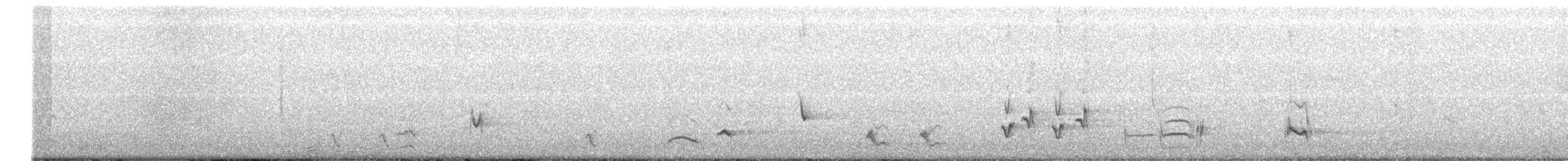Cuitlacoche Ocelado - ML173719821