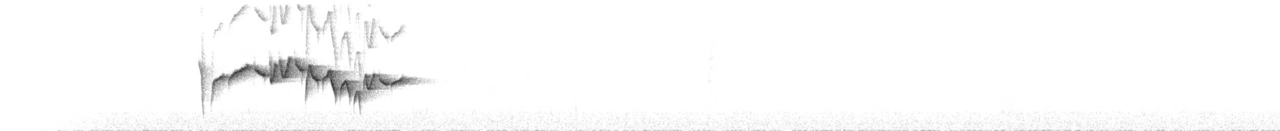 Тимелія-куцохвіст велика (підвид albiventer/pallidior) - ML173737001