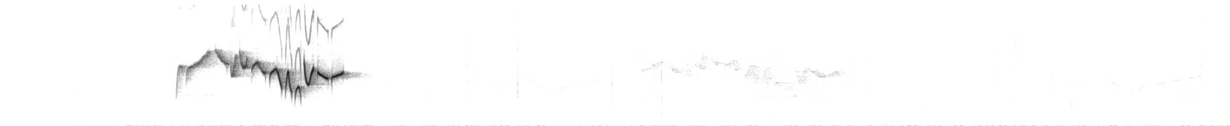 skjellstuttvinge (albiventer/pallidior) - ML173737021