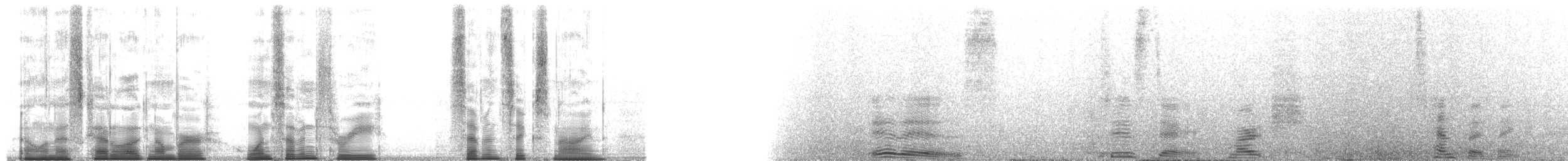 Craveri's Murrelet - ML173769