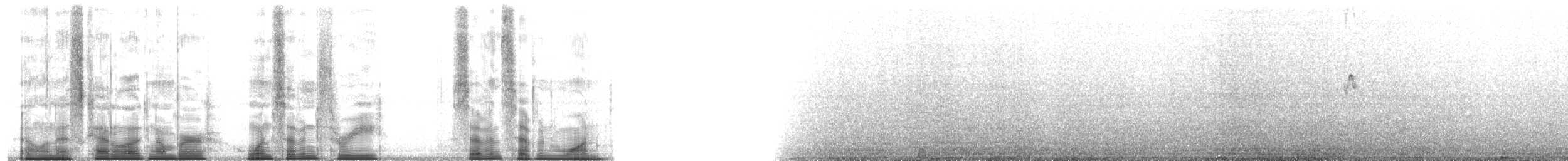 Guillemot de Craveri - ML173771