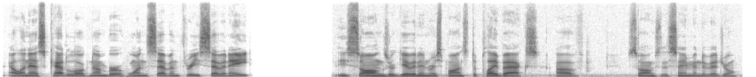 nøttemaurpitta - ML17378