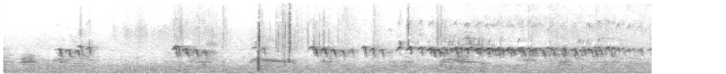 Wood Sandpiper - ML173813431