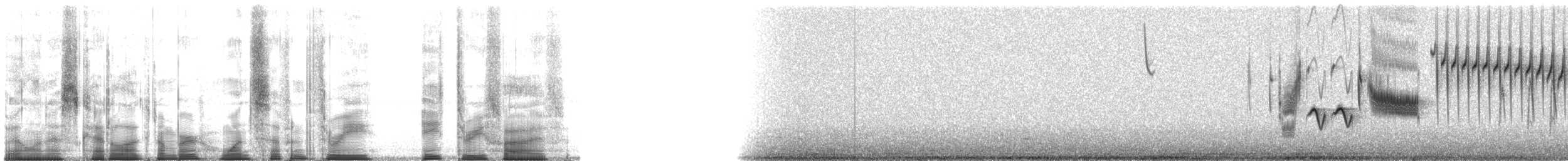 Grass Wren (Puna) - ML173835