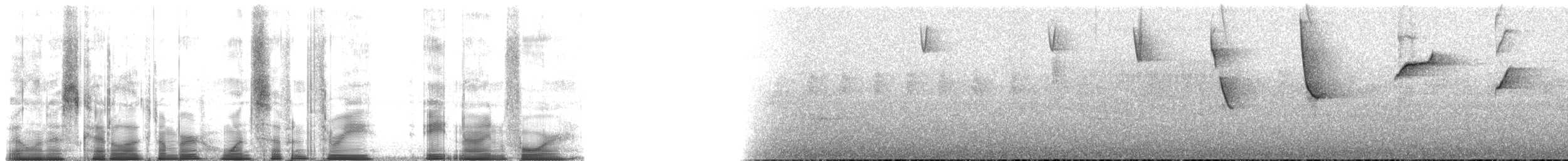 マミジロモリフウキンチョウ（auricularis） - ML173894