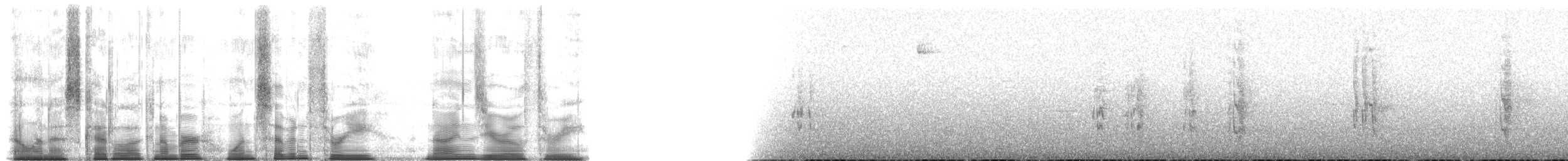 Амазон-карлик чорнокрилий - ML173903