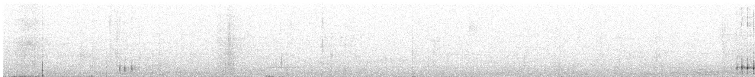 Malagasy Coucal - ML173908541