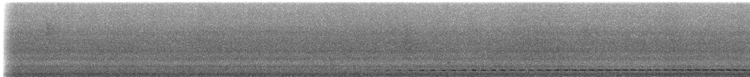 Kısa Kuyruklu Karıncaardıcı - ML173916951