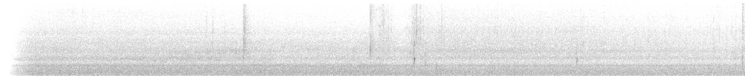 Paruline rubanée (bivittata/argentinae) - ML173920471