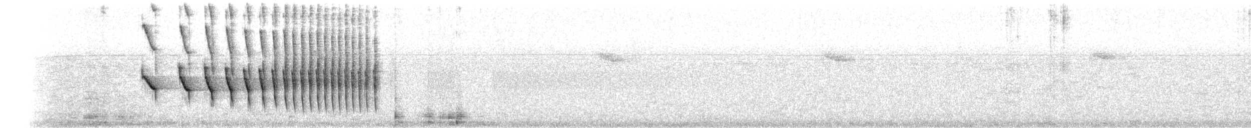 Dusky-tailed Antbird - ML173951581