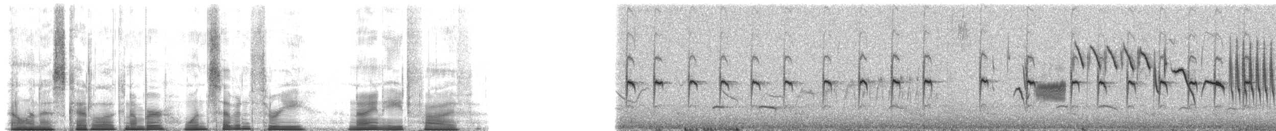 engsmett (minimus) - ML173985