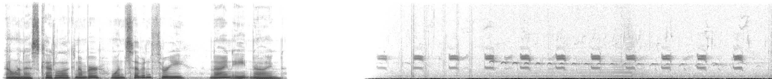 Grass Wren (Puna) - ML173989
