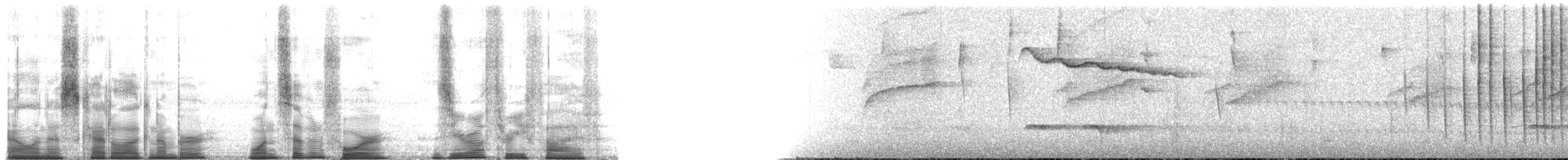 Ak Kaşlı Hemispingus (urubambae) - ML174035