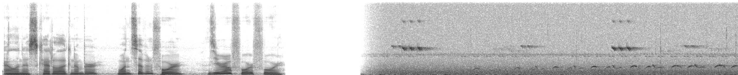 Lyre-tailed Nightjar - ML174044