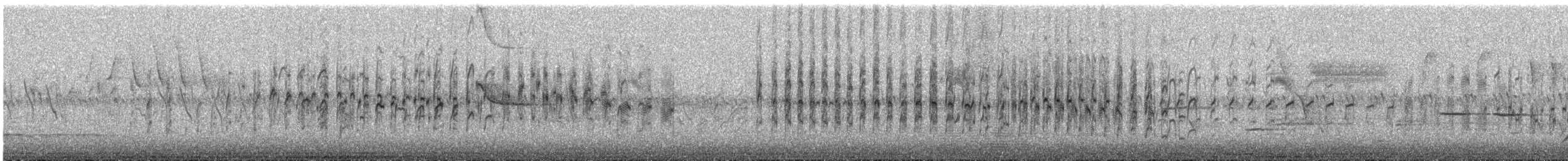 White-throated Swift - ML174047321