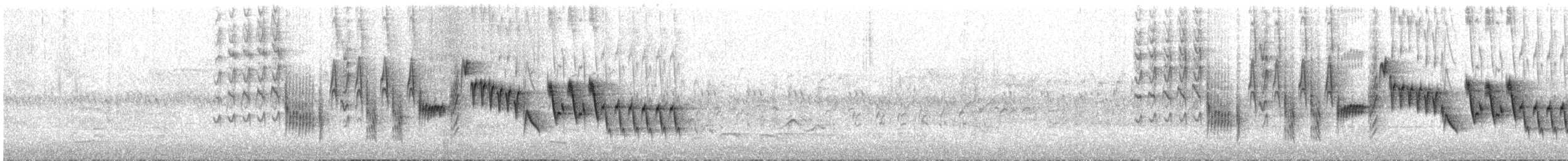 Northern House Wren - ML174047631