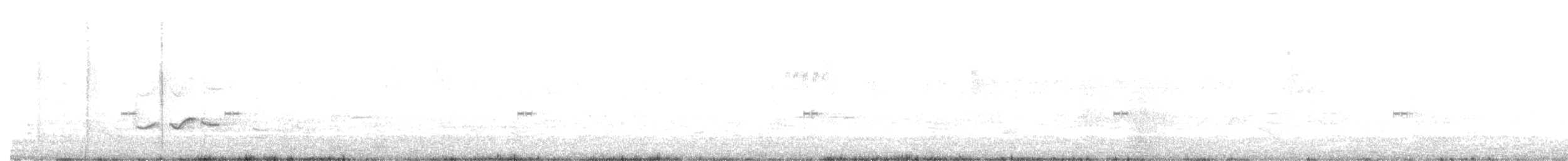 White-tailed Iora - ML174161771