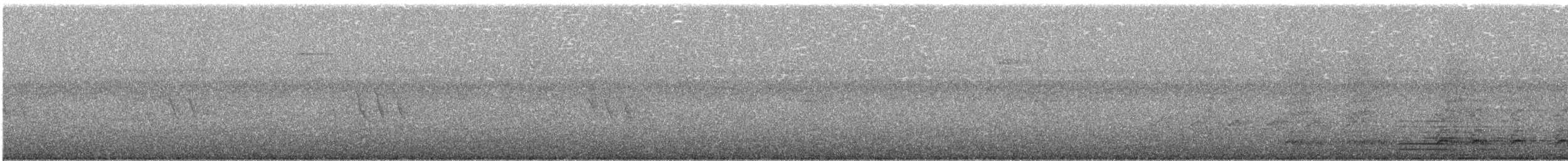Поплітник каролінський - ML174174621