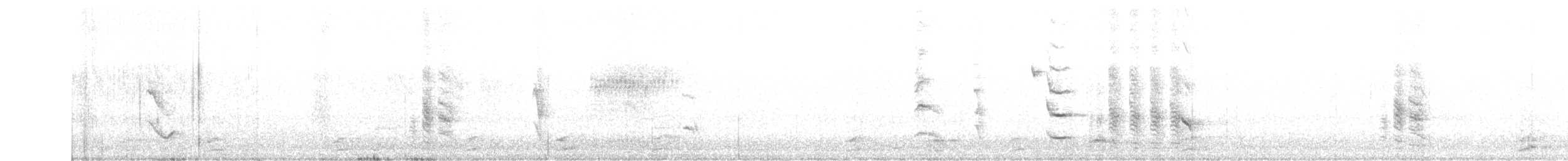 Патагонский курен - ML174198371
