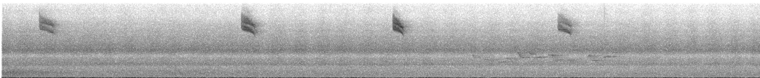 Spotted Flycatcher (Mediterranean) - ML174222071