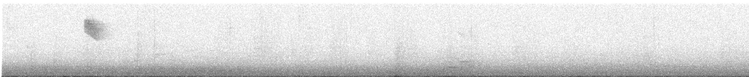 gråfluesnapper (tyrrhenica/balearica) (tyrrenfluesnapper) - ML174223551