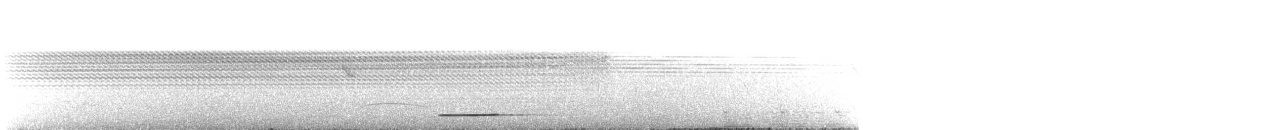 Кустарниковый скрытохвост - ML174255471