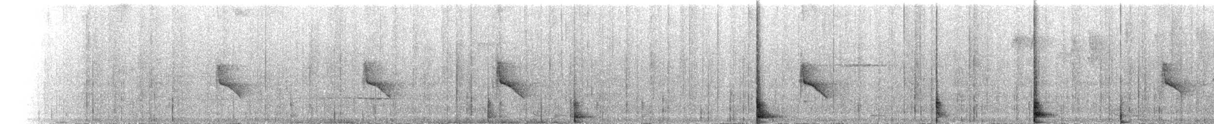 Kolombangara White-eye - ML174298431