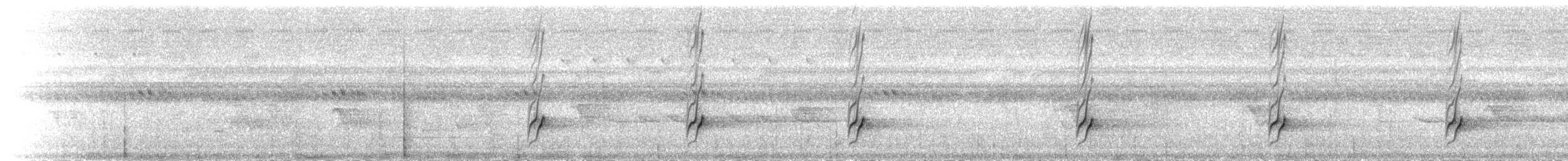 Central Melanesian Cicadabird - ML174301651