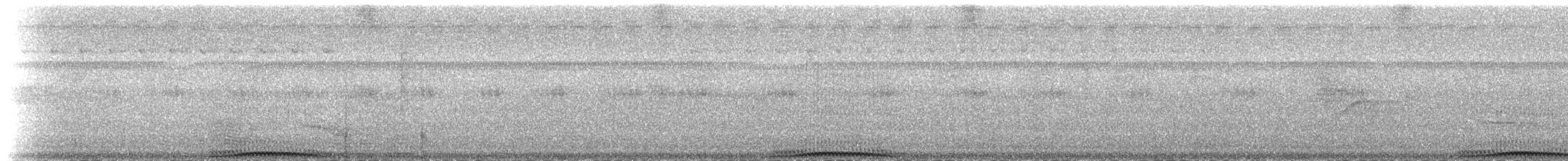 Red-knobbed Imperial-Pigeon - ML174301681