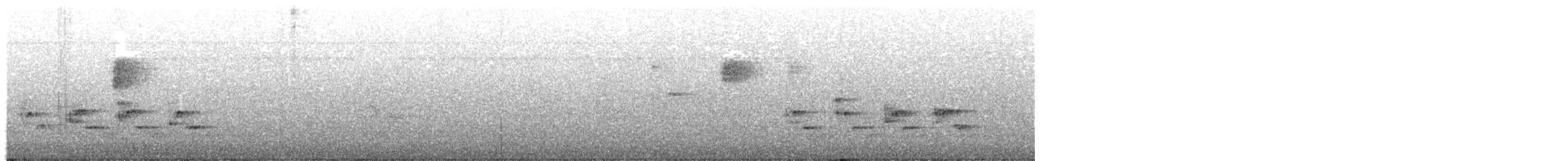 Поплітник каролінський - ML174339651