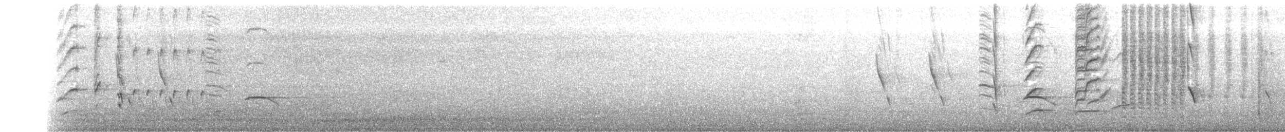 Austral Blackbird - ML174354761
