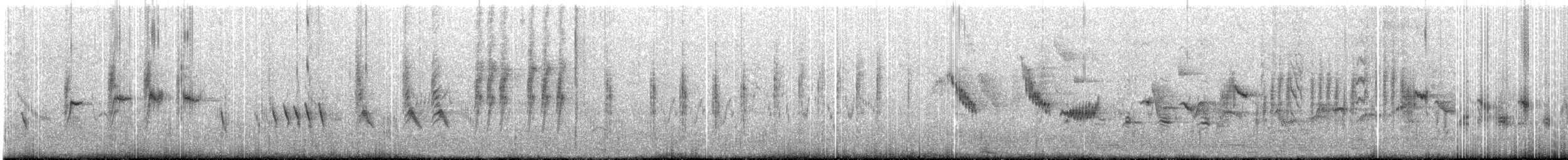 Blyth's Reed Warbler - ML174355201