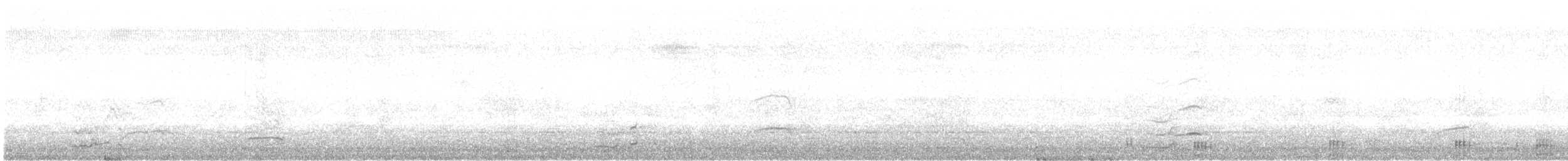 Double-crested Cormorant - ML174362461