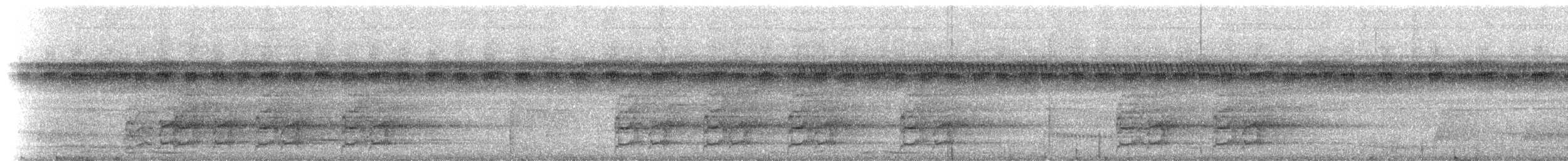 オウム目（インコ科 大きな種） - ML174384