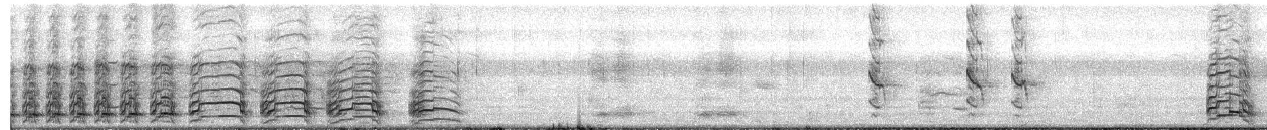 Mouette atricille - ML174391431
