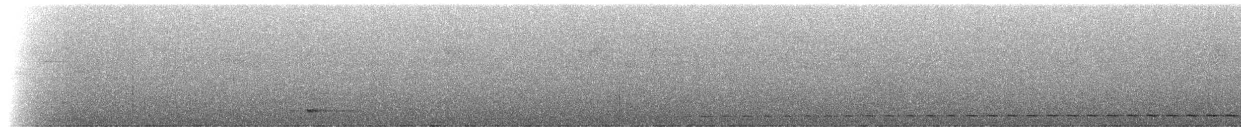 Short-tailed Antthrush - ML174392