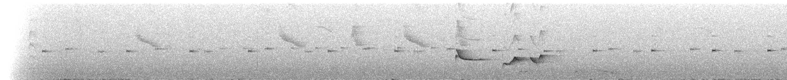 Greenish Schiffornis - ML174395