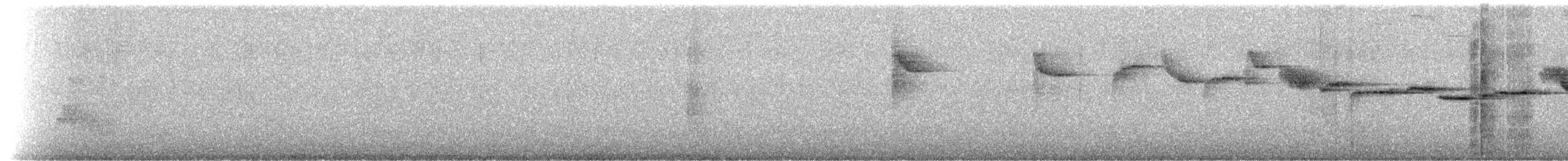 White-browed Warbler - ML174400